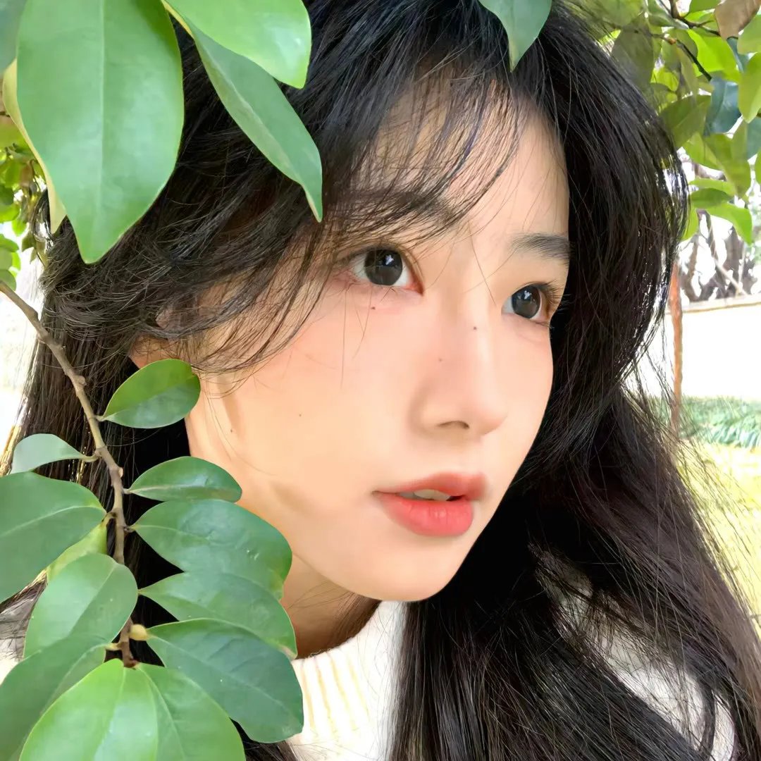 卡拉的抉择