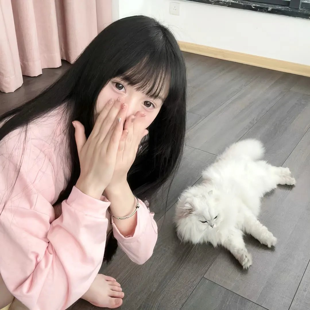歼虎屠龙